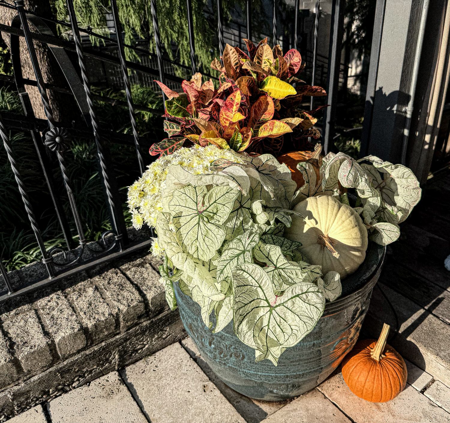 Fall-Planters-2