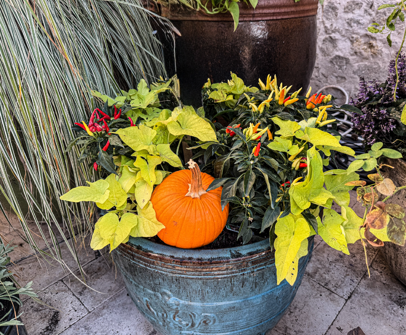 Fall-Planters
