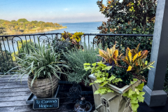Fall-Planters-3 Fall-Planters-3