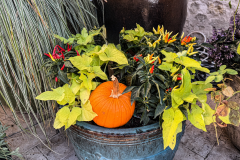 Fall-Planters Fall-Planters