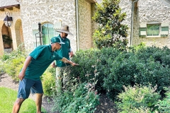 Shrub-Trimmiing-in-Waco-Texas