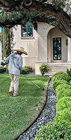 Landscape-Bed-Maintenance-&-Weed-Control