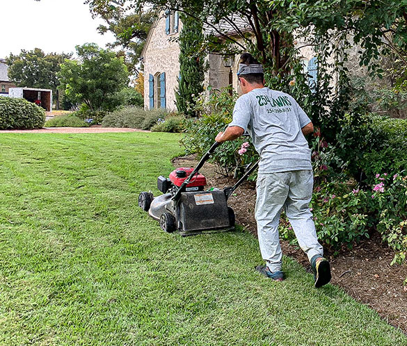 Lawn Mowing Service in Waco TX - 254 Lawns