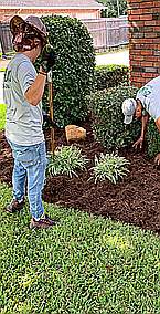 Mulch and Flower Bed Maintenance