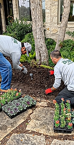 Annual and Perennial Plant Care